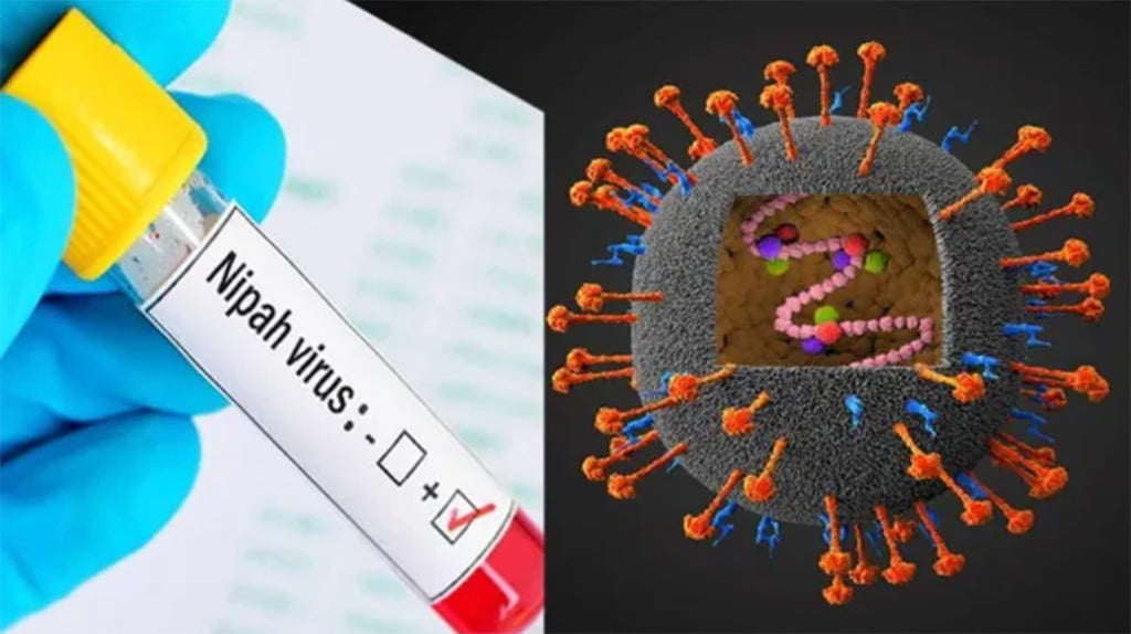 Nipah Virus Resurfaces in Kerala: ICMR Ensures Monoclonal Antibody Availability Amidst Concerns