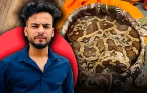YouTuber Elvish Yadav Under Fire Over Snake Venom Supply