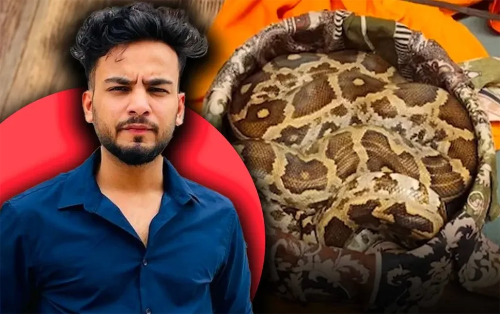 YouTuber Elvish Yadav Under Fire Over Snake Venom Supply